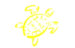 Afcdam.org
