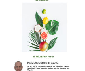 Plantes Comestibles de Mayotte