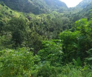 L’Île de MOHELI et sa biodiversité : Le trésor des COMORES